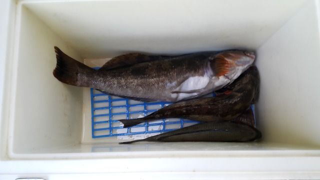 20150726_140529.jpg