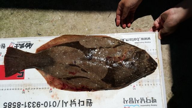 20150726_141024.jpg