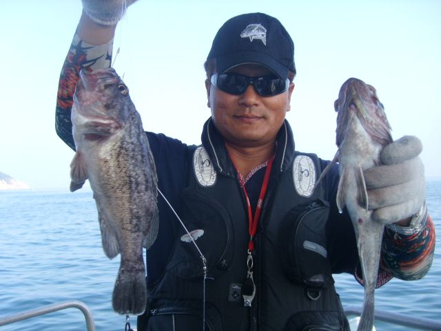 STP66389.JPG