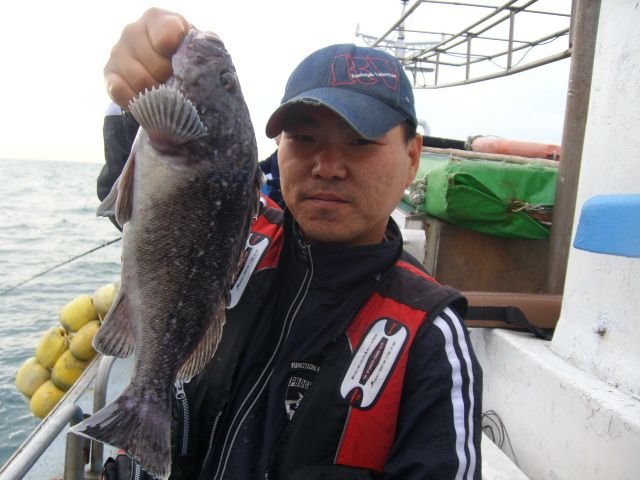 STP66437.JPG