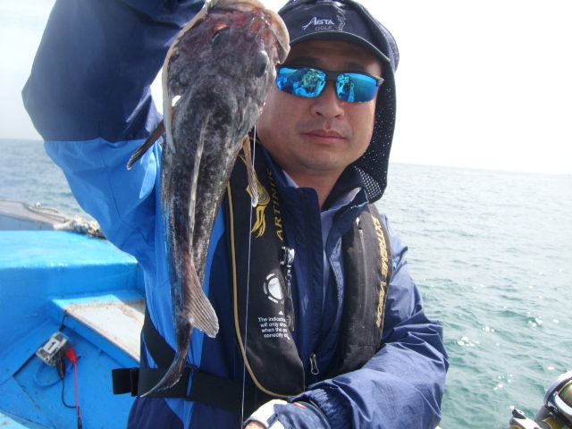 STP66463.JPG
