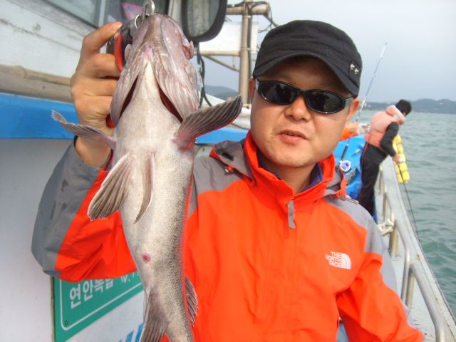 STP66519.JPG