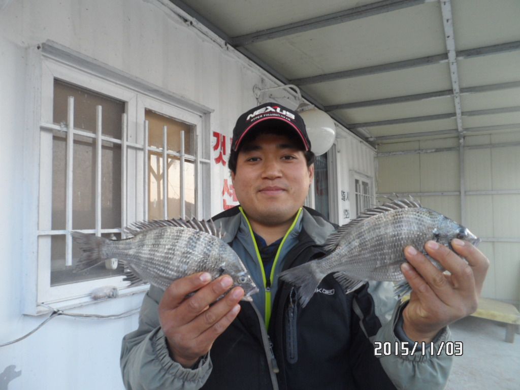 SAM_0717.JPG
