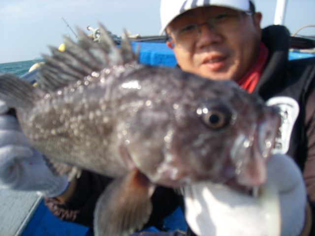 STP66768.JPG