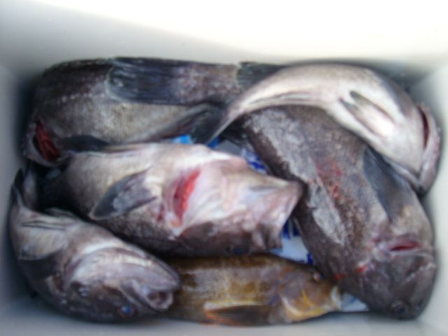STP66776.JPG