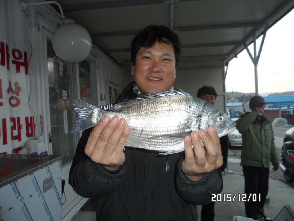 SAM_0865.JPG