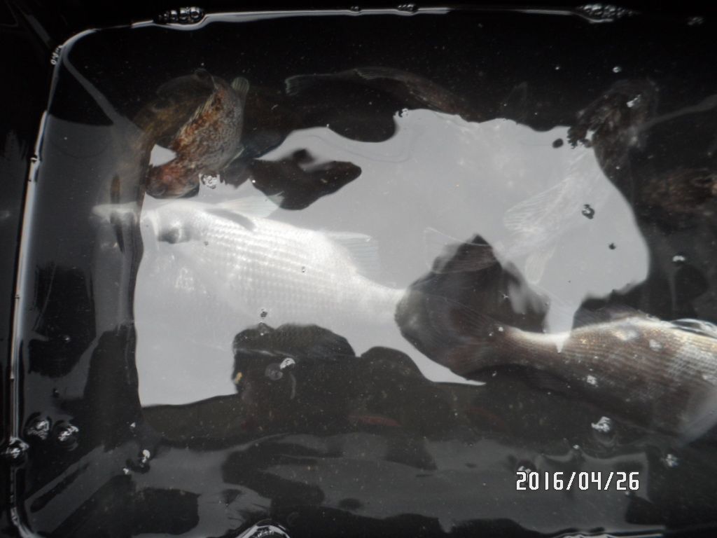 004.JPG