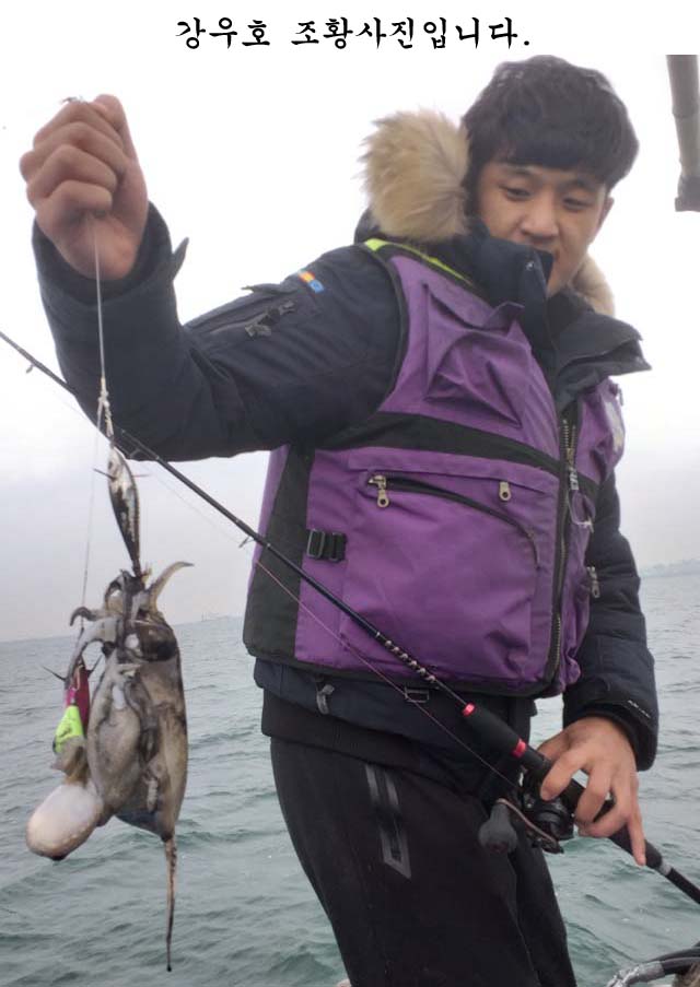 평택본전낚시마트 > 10월23일 평택항 쭈,갑 조황입니다. : 낚시사랑