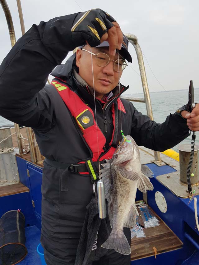 평택본전낚시마트 > 11월24일 평택항 우럭 조황입니다. : 낚시사랑