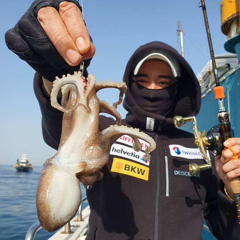 홍원갯바위낚시 > 4월18일 홍원갯바위낚시 뉴아일랜드호 봄(알)쭈꾸미 조황 : 낚시사랑