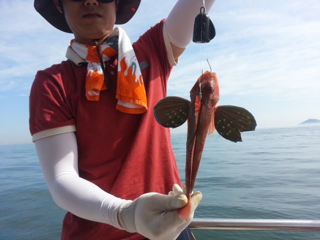 20150711_091126.jpg