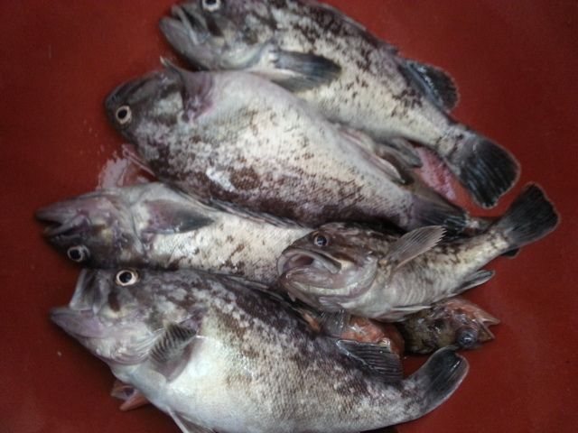 20150711_102924.jpg