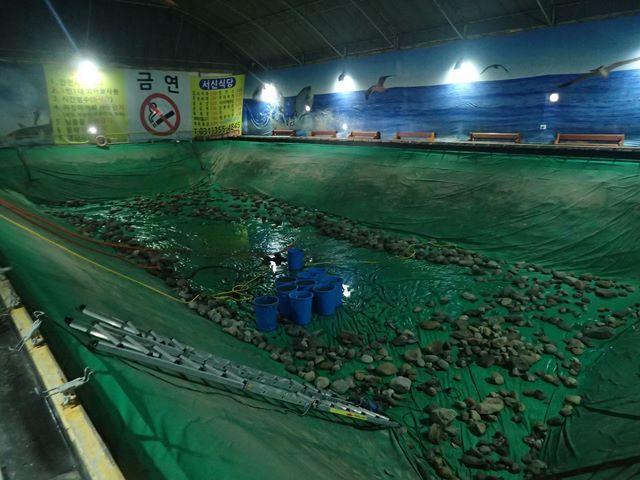 PA220023.jpg