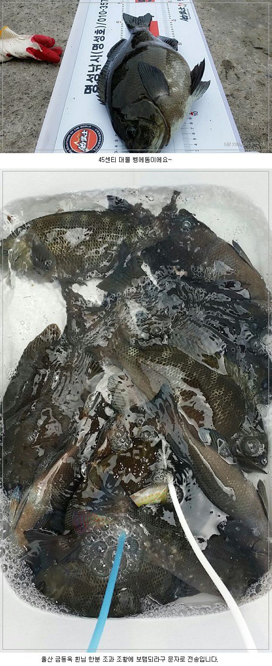 0523162012620756.jpg