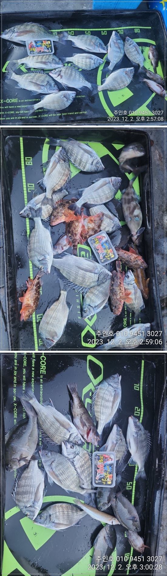 120215463241719.jpg