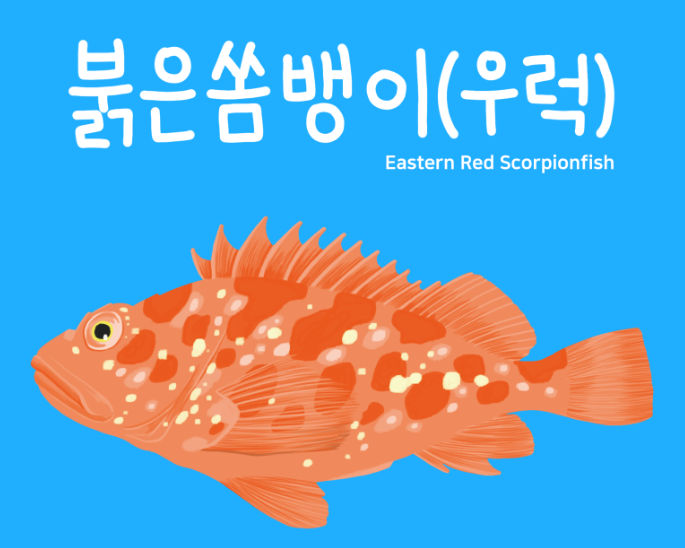 ȭ ĸó 2025-03-20 085656.png