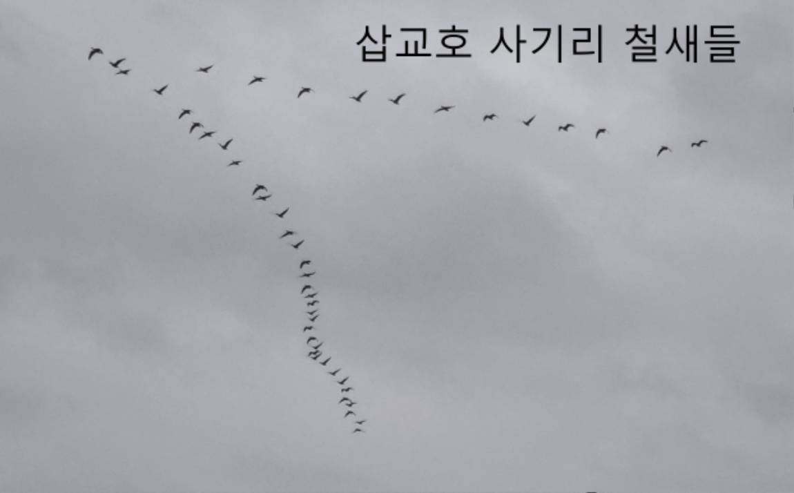 20241218_074330.jpg