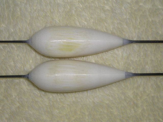 P1010413.JPG