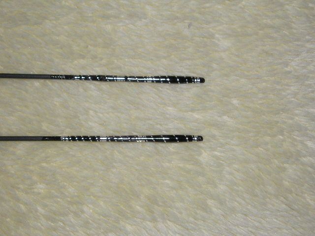 P1010444.JPG
