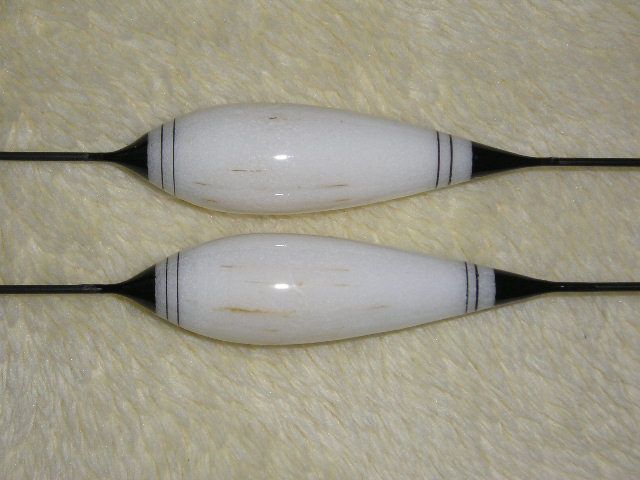 P1010334.JPG