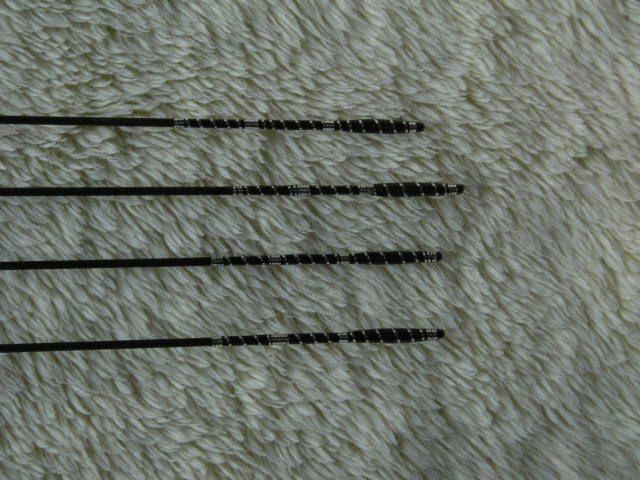 P1010845.JPG
