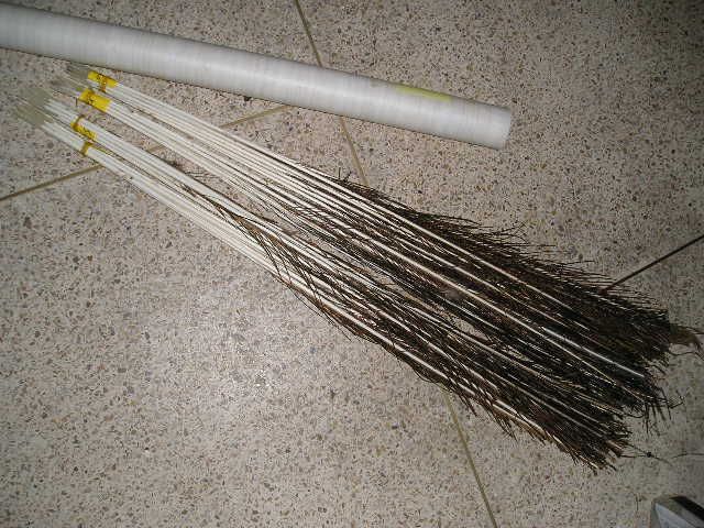 P1010346.JPG