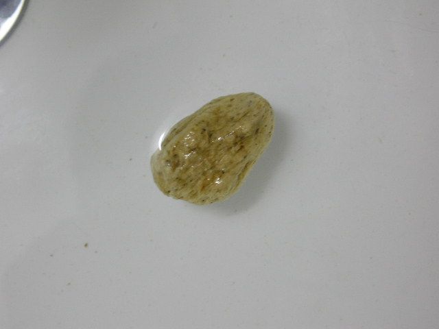 P1011105.JPG
