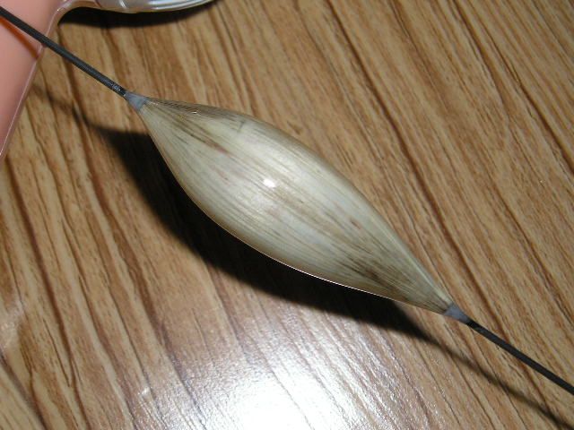 P1011377.JPG