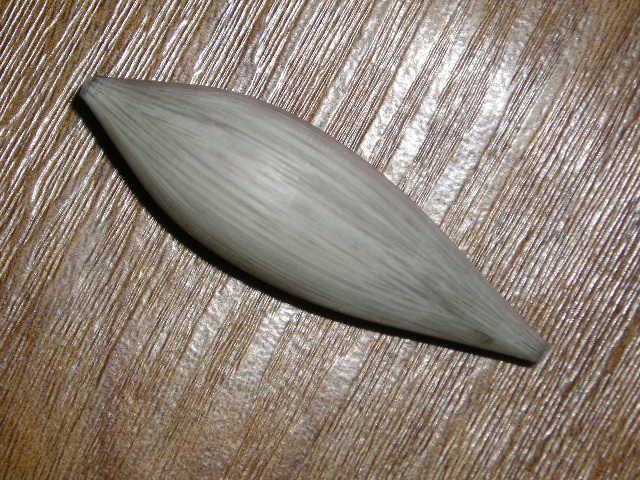 P1011372.JPG