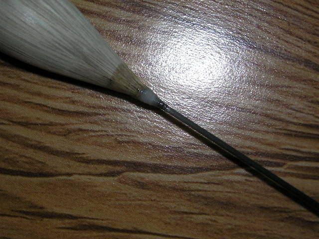 P1011374.JPG