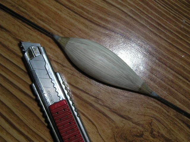 P1011376.JPG