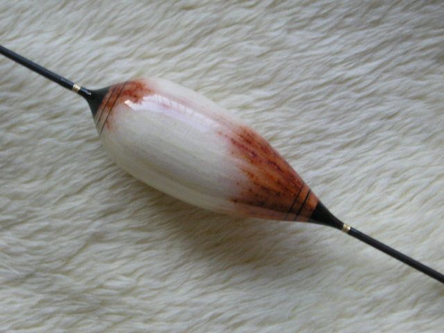 P1011483.JPG