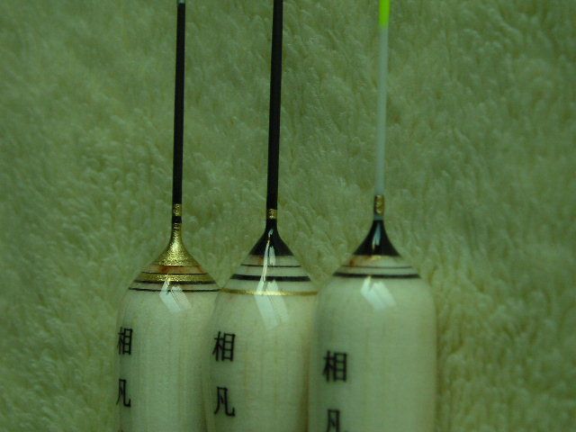 P1011570.JPG