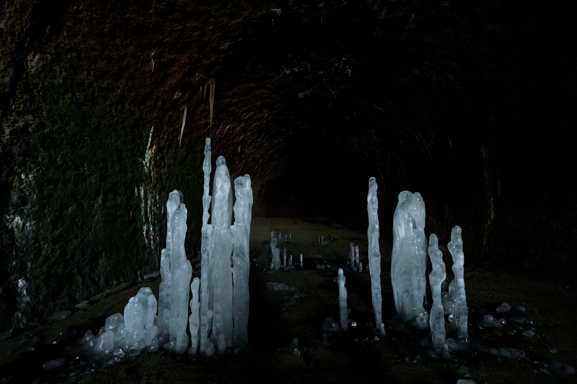 DSC_2001.JPG