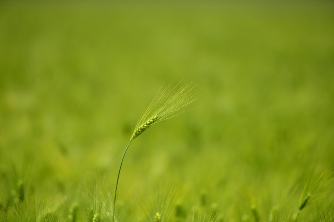 DSC_0006.JPG
