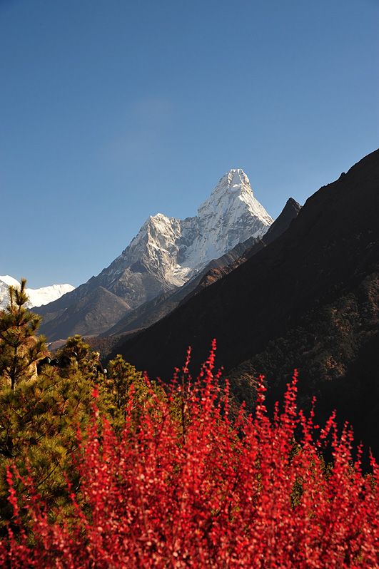 EBC_0774.jpg