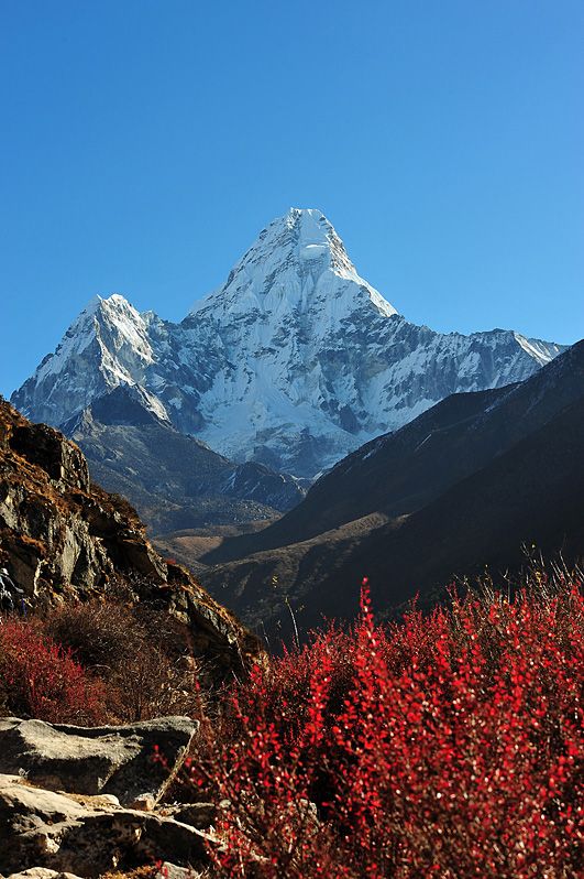 EBC_0980.jpg