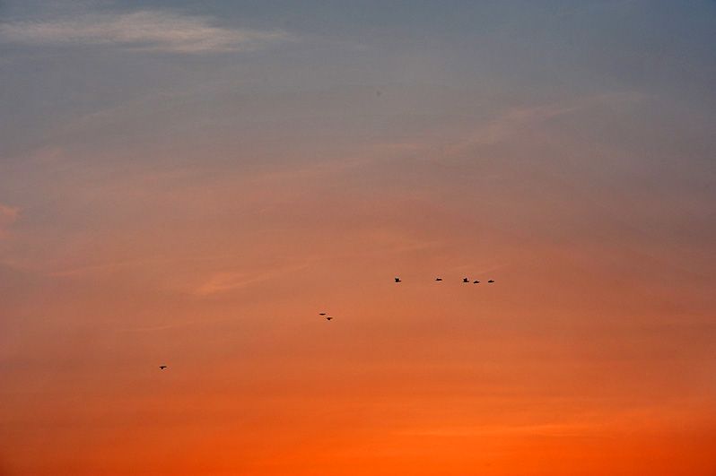 K13_3208.jpg