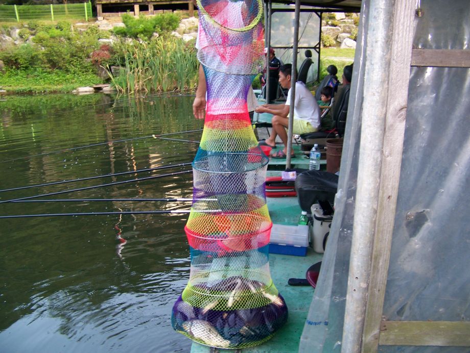 100_2783.jpg