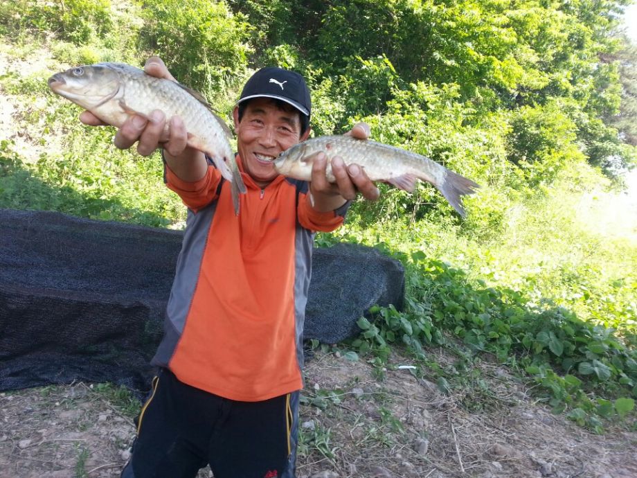 KakaoTalk_20150528_103348971.jpg