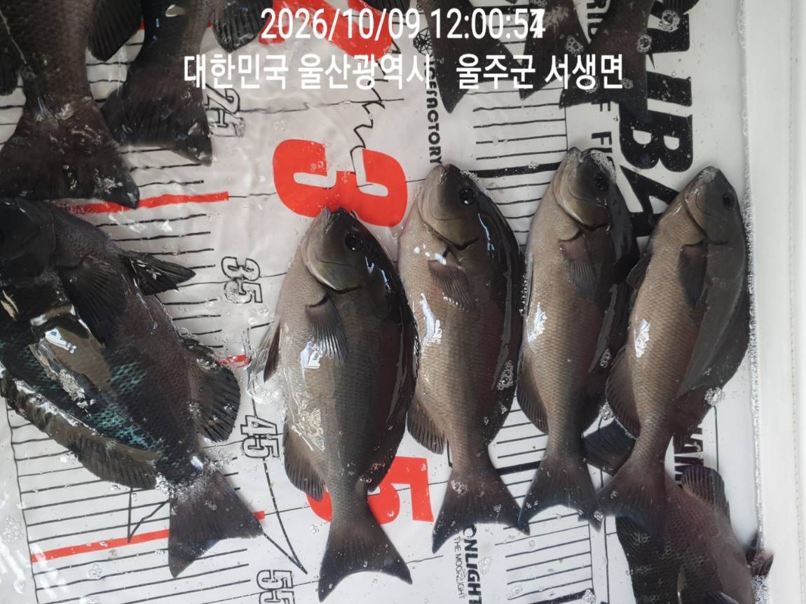 KakaoTalk_20261009_121300008.jpg
