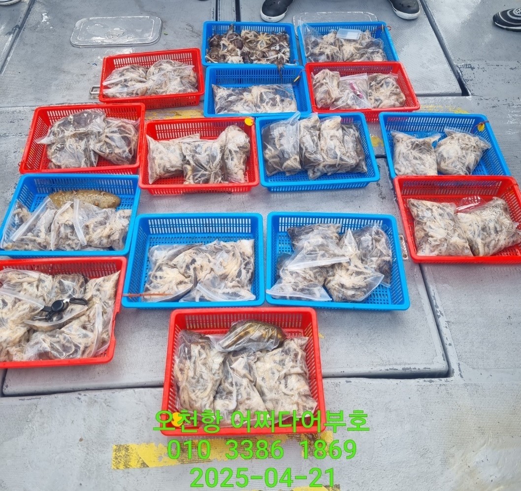 KakaoTalk_20250422_114919524_07.jpg