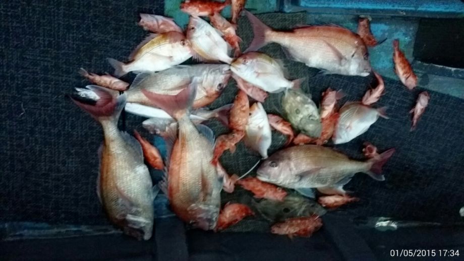 1��5��  ���� 016.jpeg