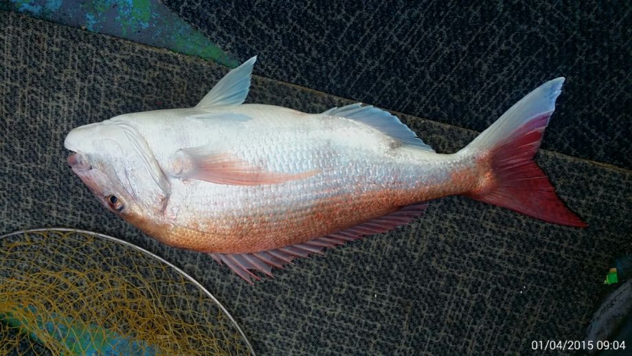 1��5��  ���� 014.jpeg