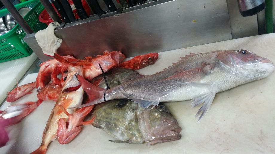 1��5��  ���� 006.jpeg