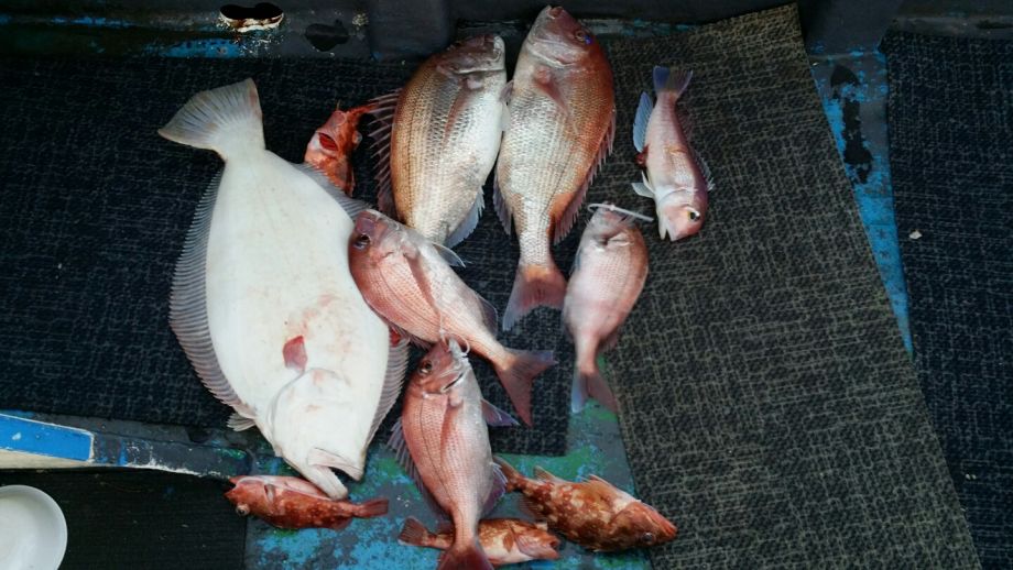 1��5��  ���� 002.jpeg