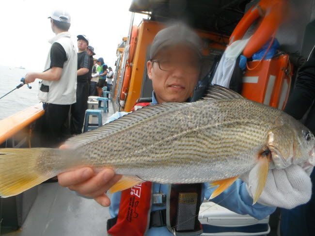 79.jpg