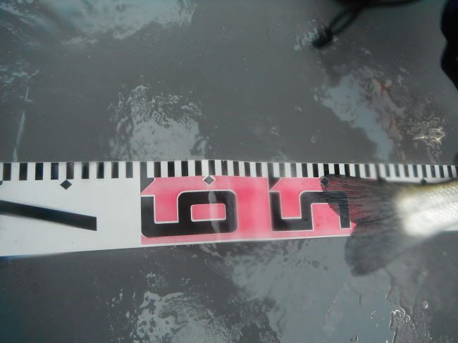 94.jpg