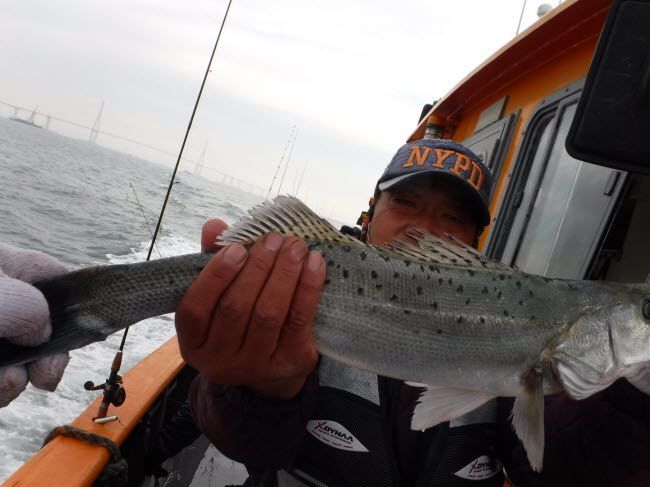 80.jpg