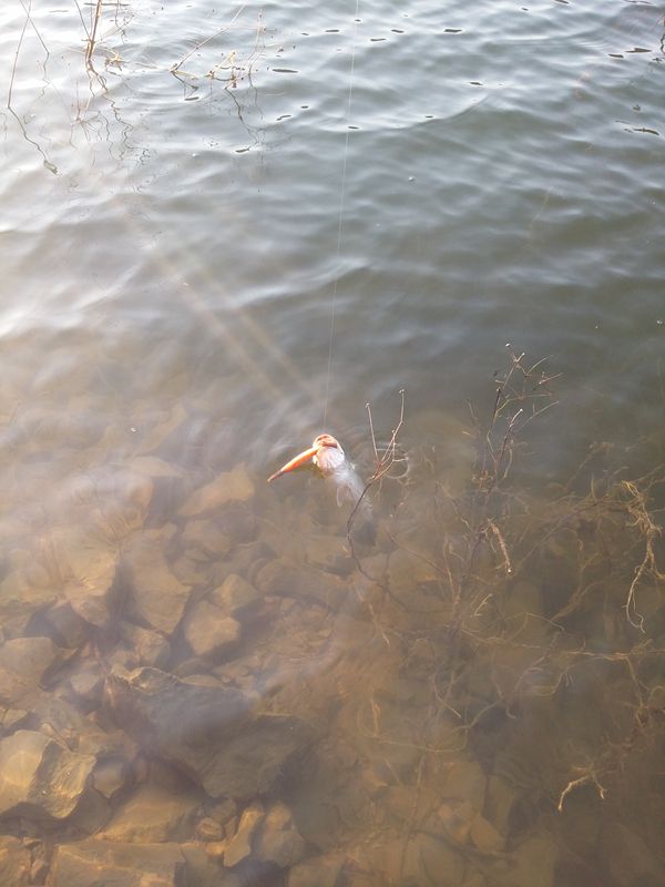 20150312_173100.jpg